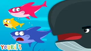 Baby Shark Family vs Whale | Youkids Song for Kids
