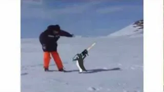 Penguins Attack II