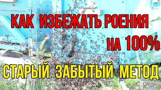 Забытый противороевой метод. Причины роения пчелосемей на пасеке .Как избежать роения пчел