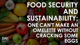 Food Security and Sustainability: One Can't Make an Omelette Without Cracking Some Eggs—Tim Lang