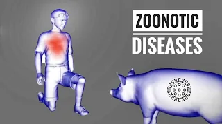 How Do Viruses Jump From Infecting Animals to Humans | Zoonotic Diseases