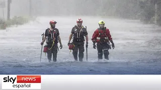 Huracán Idalia: cientos de miles de personas sin electricidad