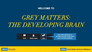 Grey Matters: The Developing Brain