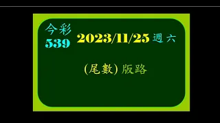 今彩   11月24日  星期六    ((尾數))版路