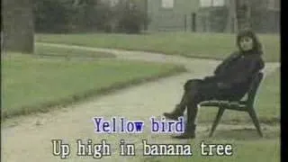 Yellow Bird Karaoke