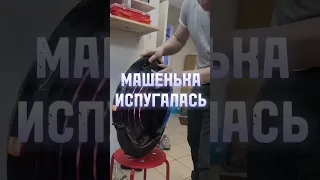 Машенька испугалась