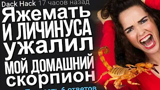 ЯЖЕМАТЬ И ЛИЧИНУСА УЖАЛИЛ МОЙ ДОМАШНИЙ СКОРПИОН. ЯЖЕМАТЬ ИСТОРИИ.