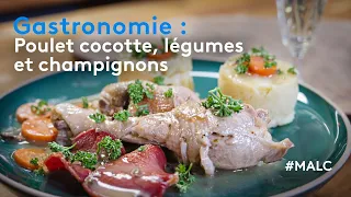 Gastronomie : poulet cocotte, légumes et champignons