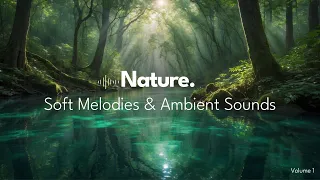 Nature Melodies with Soft Piano & Ambient Sounds Background Music - Vol. 1 | Calming, Soothing