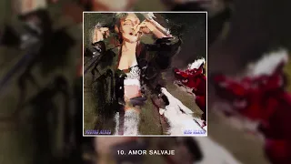 Girl Ultra - Amor Salvaje (Audio)