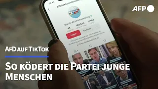 AfD auf TikTok: So ködert die Partei junge Menschen | AFP