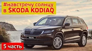 Лосиный ТЕСТ. SKODA KODIAQ. Шары. Китайгород. Мост призрак