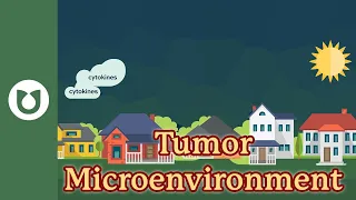 What is the tumor microenvironment?