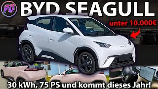 BYD SEAGULL - E-Kleinwagen für unter 10.000€