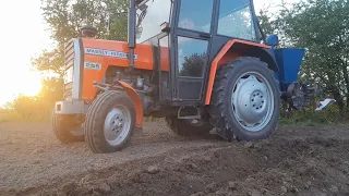 Sadzenie Ziemniaków 2k24 z Massey'em!!