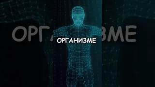 ВОТ ЧТО БУДЕТ ЕСЛИ НЕ ЕСТЬ САХАР😱