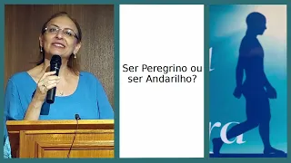 "SER PEREGRINO OU ANDARILHO?" - LANÇAMENTO  "CAMINHA QUE A VIDA TE ENCONTRA", de Ana Tereza Camasmie