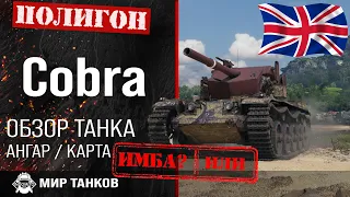 Review of Cobra guide UK medium tank for tokens