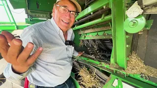 Marion's Tips for Harvesting Wheat