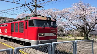 #43 JR貨物　EF510レッドサンダー　桜と貨物列車