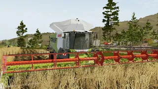 Harvesting & Selling Sunflower In Farming Simulator 20