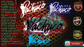 los mejores éxitos de banda pachuco