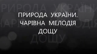 Природа України. Зачаровуючий подих шум дощу.