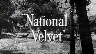 Classic TV Theme: National Velvet w Unusual MGM Lion!