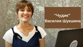 Чудик - Василия Шукшина, анализ произведения, образы героев