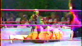 ric flair vs micheal hayes 1984