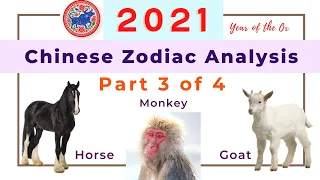 2021 Part 3 of Chinese zodiac analysis for animal signs of horse, goat, and monkey