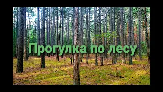 Лес, звуки природы, пение птиц,  Relaxing video,Walk in the woods