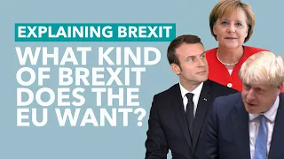 What Deal Does the EU Want From Brexit? - Brexit Explained