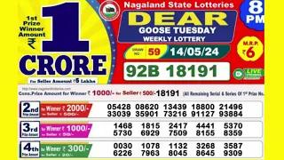 DEAR GOOSE TUESDAY WEEKLY LOTTERY TODAY RESULT 8 PM 14/05/24#latest lottery result