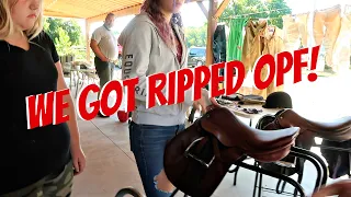 New Saddle Shopping And Huge Tack Haul! Day 211 (07/31/20)