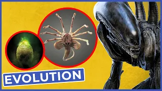 Alien: Die Entwicklung des Xenomorph!