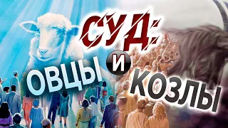 #305 Суд: овцы и козлы? - Алексей Осокин - Библия 365 (2 сезон)
