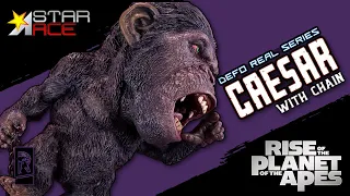 X-Plus Rise of the Planet of the Apes Defo-Real Caesar with Chain Deluxe Version Review