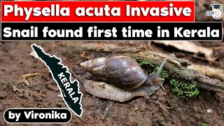 Highly Invasive Snail Species spotted in Kerala | Environment & Ecology Current Affairs | KPSC UPSC