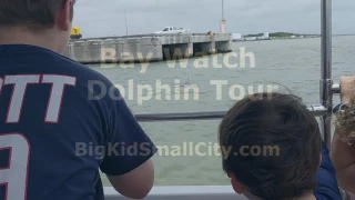 Bay Watch Dolphin Tours in Galveston