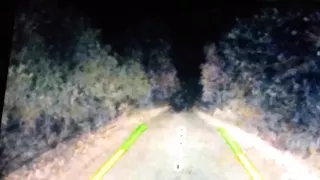 Bigfoot Chases car in Colorado Send In Breakdown