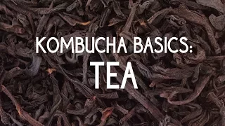 Kombucha Basics: Tea