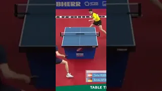 Dimitrij Ovtcharov vs Stefan Fegerl Awesome Backhand Spin Rally #shorts