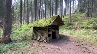 КАК МЫ ПРОВОДИМ КАРАНТИН В ГЕРМАНИИ/ПЕШИЙ ПОХОД ЧЕРЕЗ ЛЕС/ХАЙКИНГ/