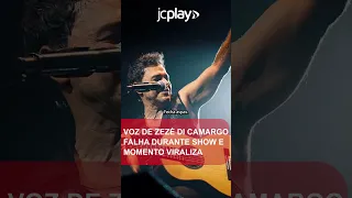 VOZ de ZEZÉ DI CAMARGO falha durante SHOW e momento viraliza