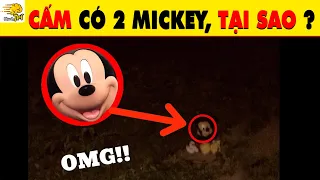 "13 Câu Đố Bị Che Giấu" Về Hello Kitty Và Mickey Mà Tác Giả Không Muốn Cho Bạn Biết | Nhanh Trí