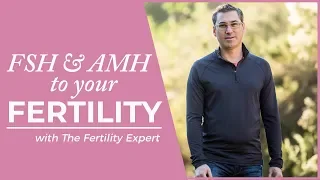 What does FSH and AMH mean? Get pregnant faster understanding FSM and AMH