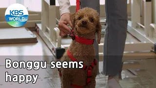 Bonggu seems happy (Dogs are incredible) | KBS WORLD TV 210512