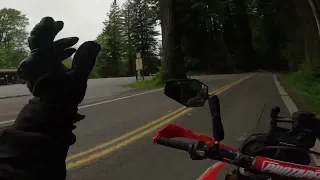 2021 Honda Crf 300L Rally 3000 mile review and thoughts ride thru Avenue of the Giants in Nor Cal