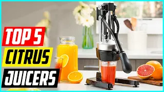 5 Best Citrus Juicers in 2022 | Citrus Juicer Review